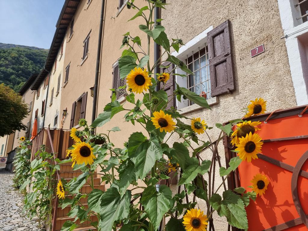 Sonnenblumen vor einen Haus der Albergo Diffuso